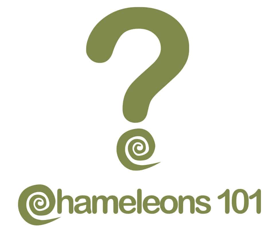 Why Chameleons101