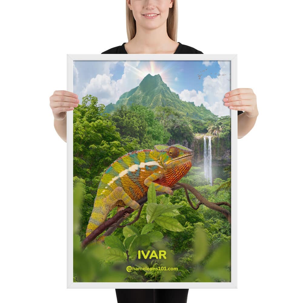 Panther Chameleon in a Jungle Volcano and Waterfall Framed Print.